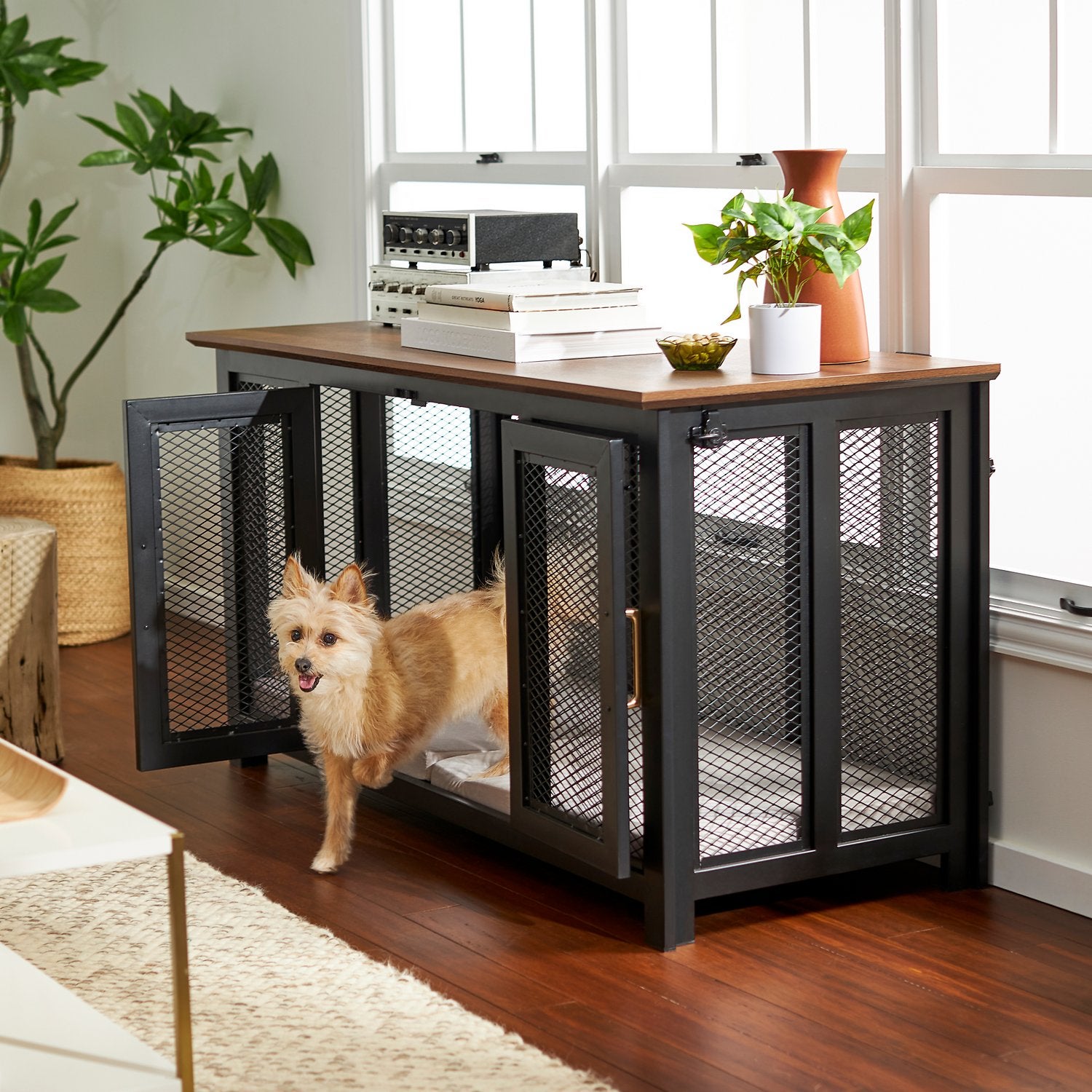 10 Fable Pets Products That Are as Stylish as They Are Functional