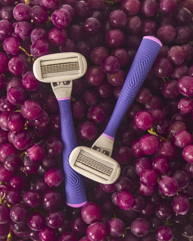 Two razors with purple handles prevarication connected a furniture of grapes