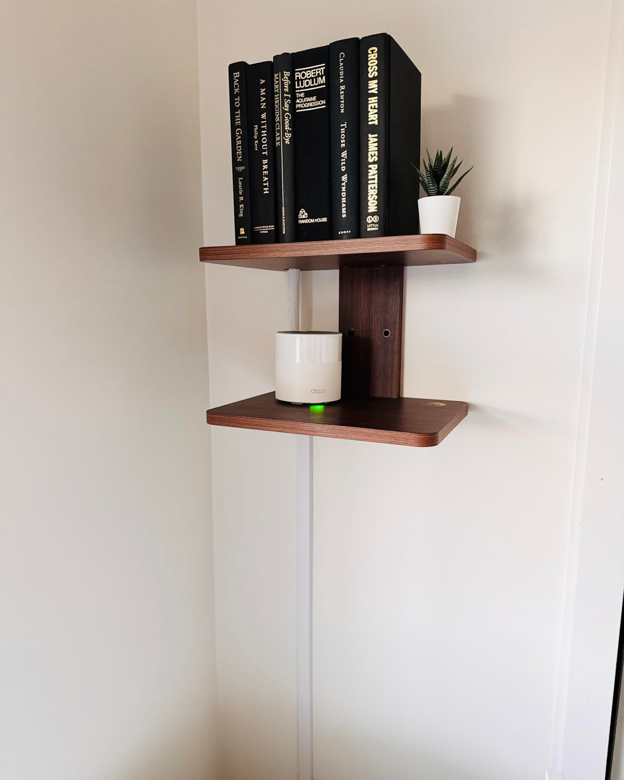 Wall-mounted woody  shelves with books, a tiny  plant, and a astute  speaker