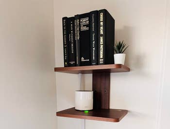 Wall-mounted woody shelves with books, a tiny plant, and a astute speaker