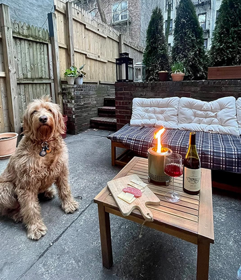 reviewer's NYC backyard with the small firepit and wine on the table with dog standing next to it