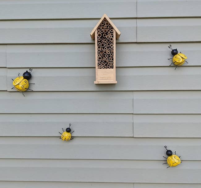 reviewer image of the four bees mounted to the siding of a house