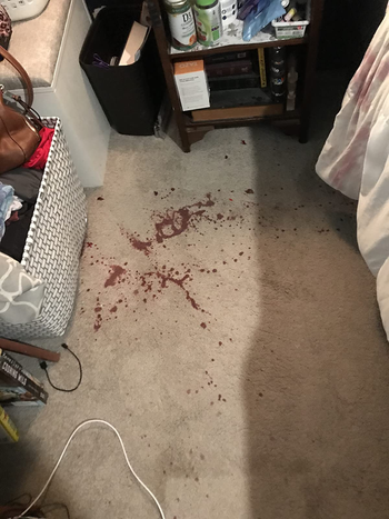 reviewer image showing a large red wine stain on the carpet