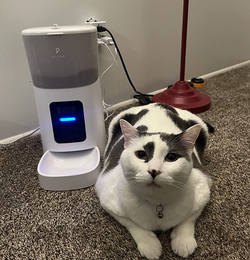 reviewer photo of a cat next to a cat feeder with a bright indicator light