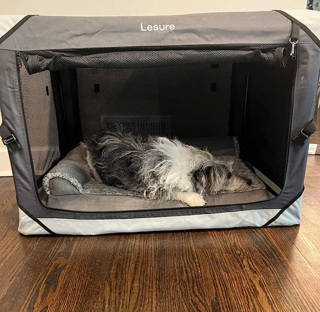 reviewer image of the grey crate with a dog sleeping in it