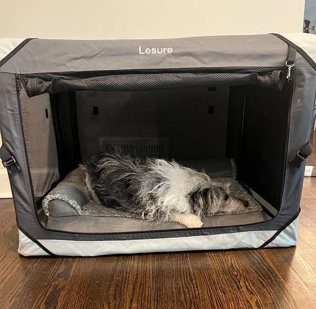 reviewer image of the grey crate with a dog sleeping in it