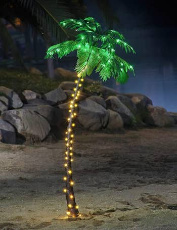 the light-up palm tree