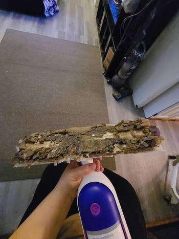 Reviewer holding dirty mop head 