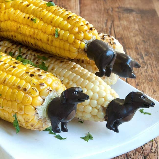 corn cobs with corn holders of dog face and rear end on either side of corn