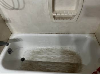 Reviewer's soiled  bathtub earlier  utilizing spray
