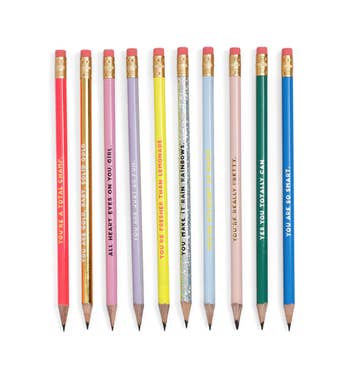 the 10 multi-colored pencils