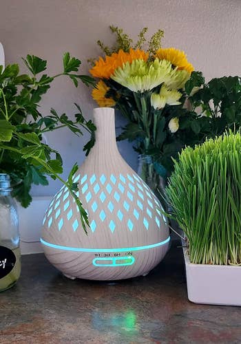 reviewer's white diffuser with blue glowing light sitting on a surface surrounded by plants