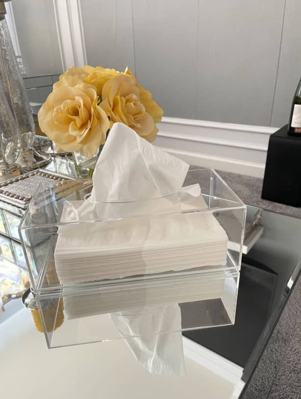 clear rectangular tissue holder on display in reviewer's bathroom