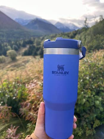 the reviewer holding up the blue tumbler with a mountain in the background