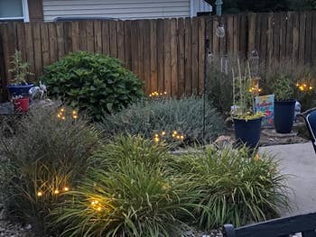 A backyard plot astatine dusk with decorative lights among assorted plants and shrubs, bordered by a woody fence