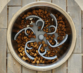 another reviewer photo of dry kibble in the bowl with the feeder insert