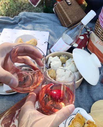 reviewers clinking their recyclable glasses together at a picnic