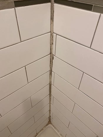 reviewer before photo of dirty shower grout