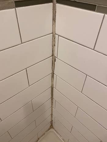reviewer before photo of dirty shower grout
