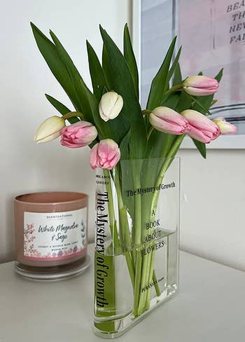 the transparent vase filled with tulips