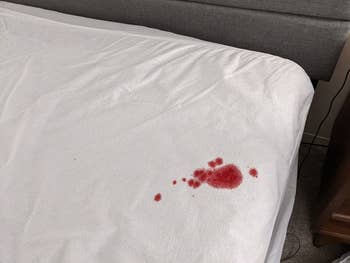 reviewer photo showing blood stain on their mattress protector from a nosebleed