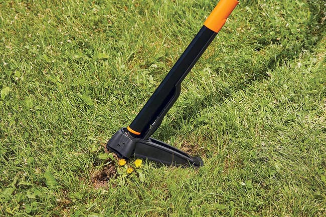 pole-like weeder pulling a weed out of the ground