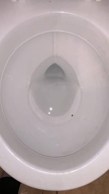 a reviewer photo of the same toilet now clean 