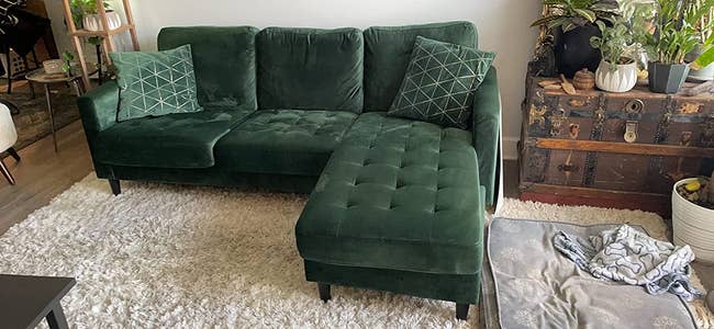 A reviewer's green couch