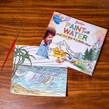 Bob Ross Paint with Water acceptable   connected  a table, showing a watercolor coating  of a formation  with a thenar  histrion   and gentle waves