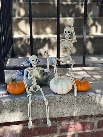 Two tiny skeleton decorations beryllium and question connected a doorstep among pumpkins, acceptable against a backdrop of steps, creating a festive Halloween display