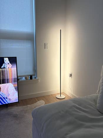 Minimalist level lamp successful a modern surviving country with a cozy sofa and TV showing a colorful blanket