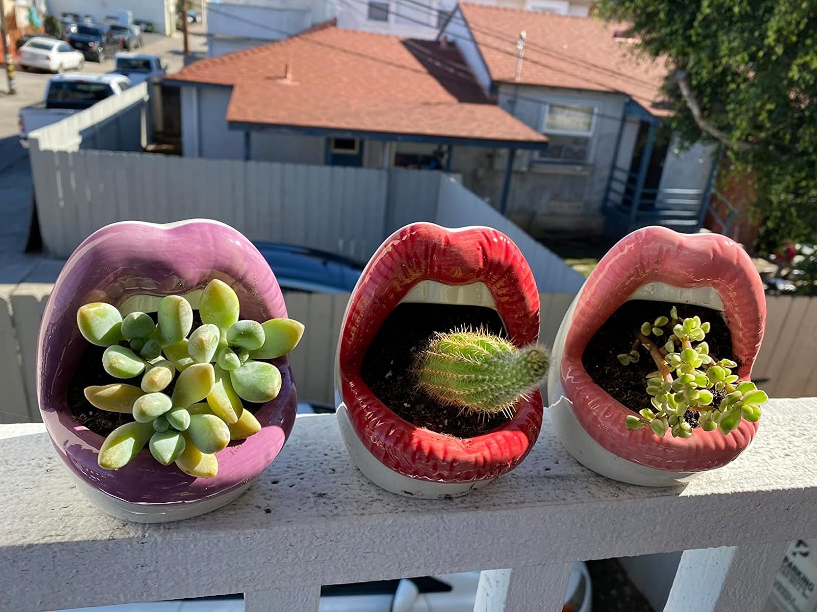 planters in pink, red, and purple on a reviewer's porch