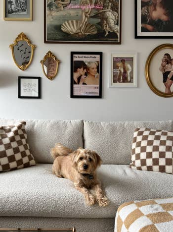 reviewer image of dog sitting on couch amongst checker print throw pillows