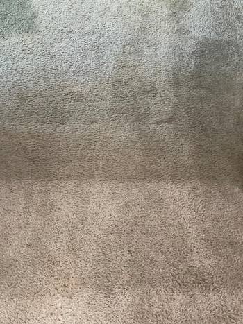 reviewer's carpet without any stains left