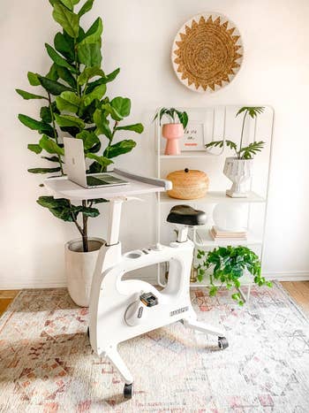 Exercise bike with a built-in desk topped with a laptop, set in a stylish room with plants and decor, highlighting home workout solutions