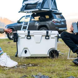 two models sitting next to the cooler