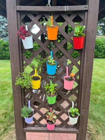 Colorful hanging pots with assorted  plants, arranged vertically connected  a woody  trellis successful  a plot  setting
