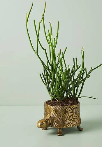 a gold planter that looks like a turtle with geometric designs around the side and four legs