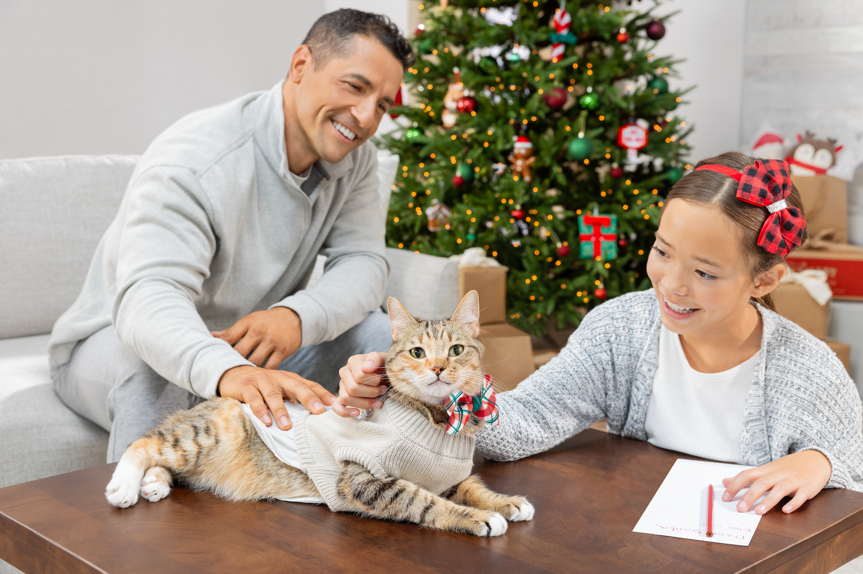 A father and daughter pet a cat that is wearing a sweater and a bow