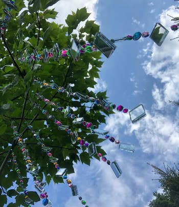 view of the sun catchers in a tree from below looking up at the sky