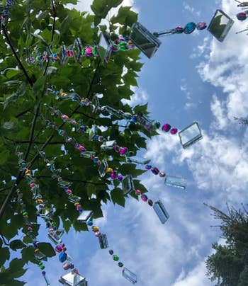 view of the sun catchers in a tree from below looking up at the sky