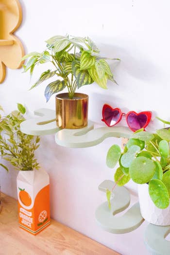 green squiggle shelf with plant and sunglasses on it