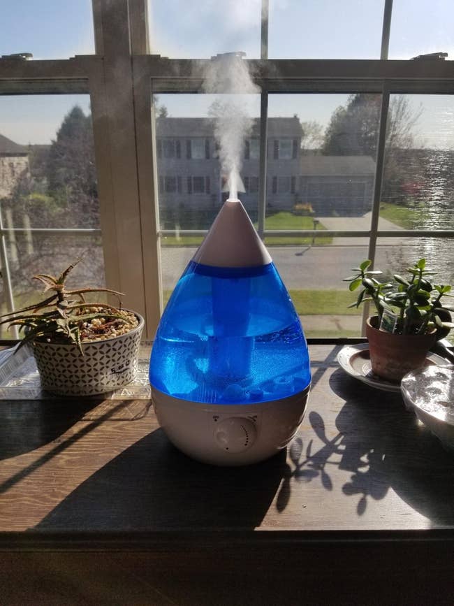 Humidifier emitting mist connected  a sunny windowsill, surrounded by potted plants