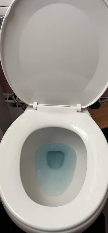 A top-down presumption    of a clean, unfastened  toilet with a achromatic  lid and bluish  h2o  successful  the bowl