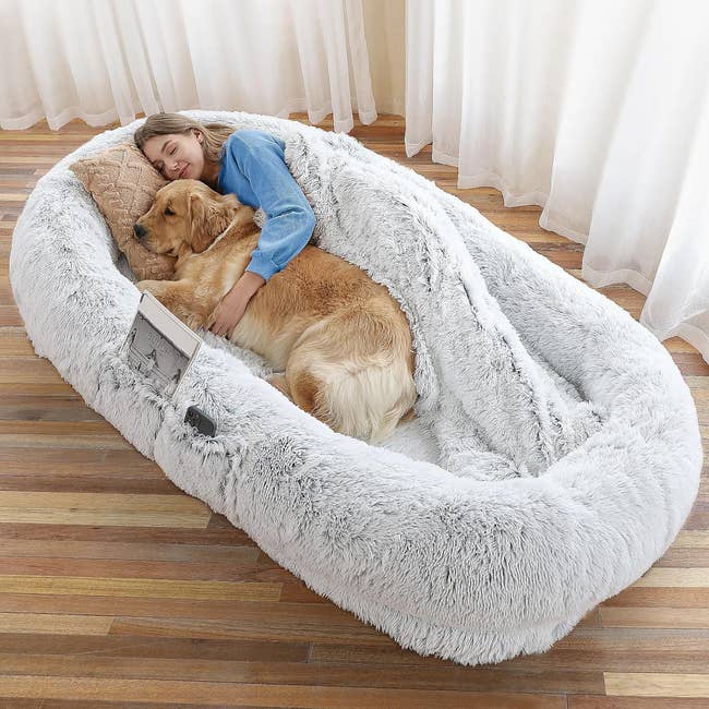 model and golden retriever relaxing together in a large, plush, white furry dog bed