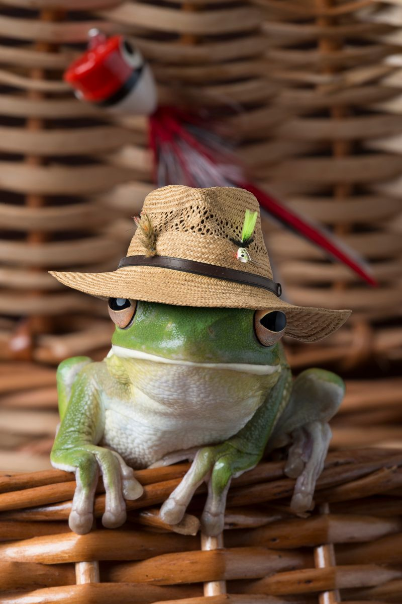 tiny hats for frogs