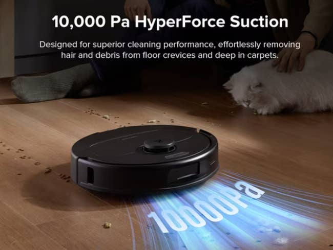 Robotic vacuum connected hardwood floor, showcasing 10,000 Pa suction power, picks up debris portion a idiosyncratic interacts with a feline successful the background