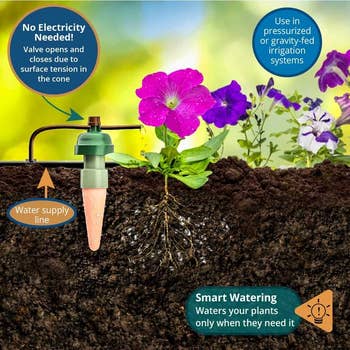 graphic showing how the automatic watering system kit works