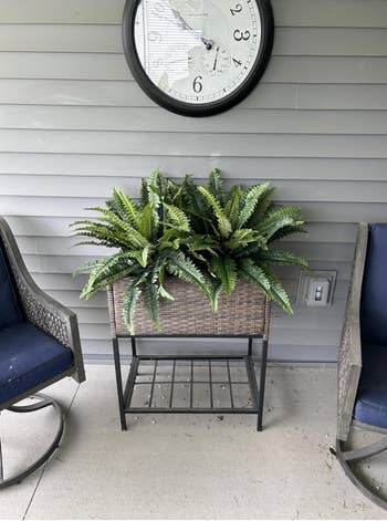 Wicker planter with lush ferns connected  a porch, flanked by 2  wicker chairs nether  a wall-mounted circular  clock