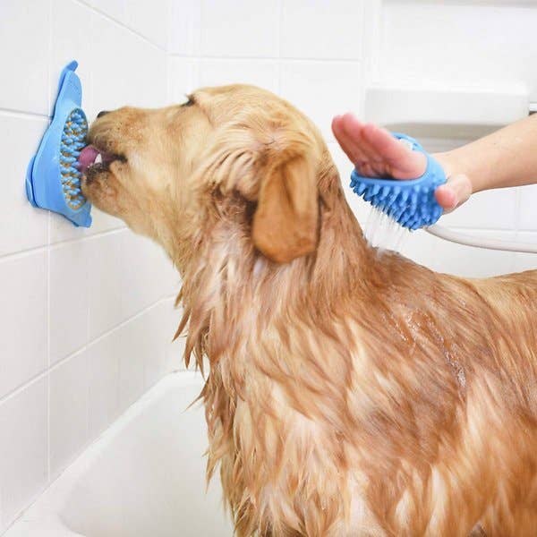 Model giving a dog a bath while the dog licks peanut butter off of the licky mat stuck to the side of the tub